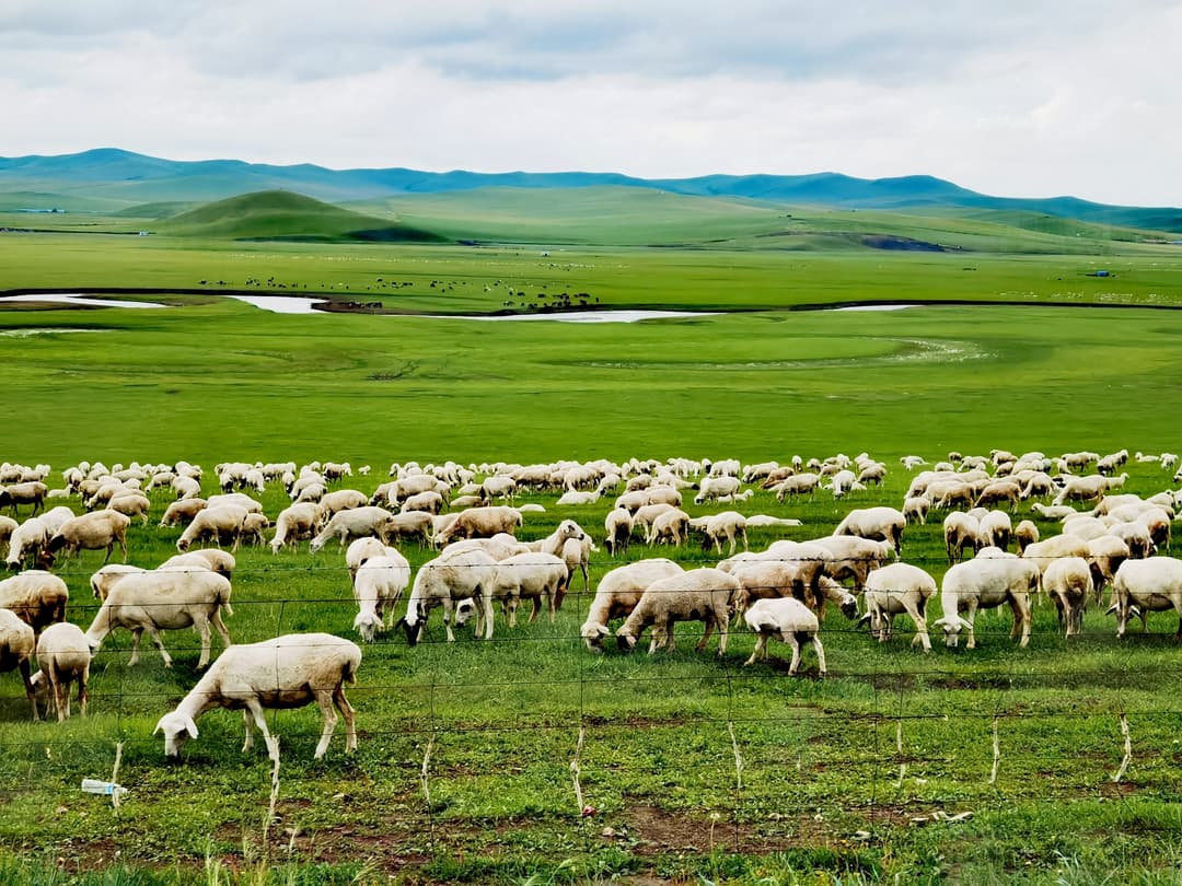 How to Connect an Electric Fence Energizer  A Complete Step-by-Step Guide for Farmers, Ranchers, and Beginners