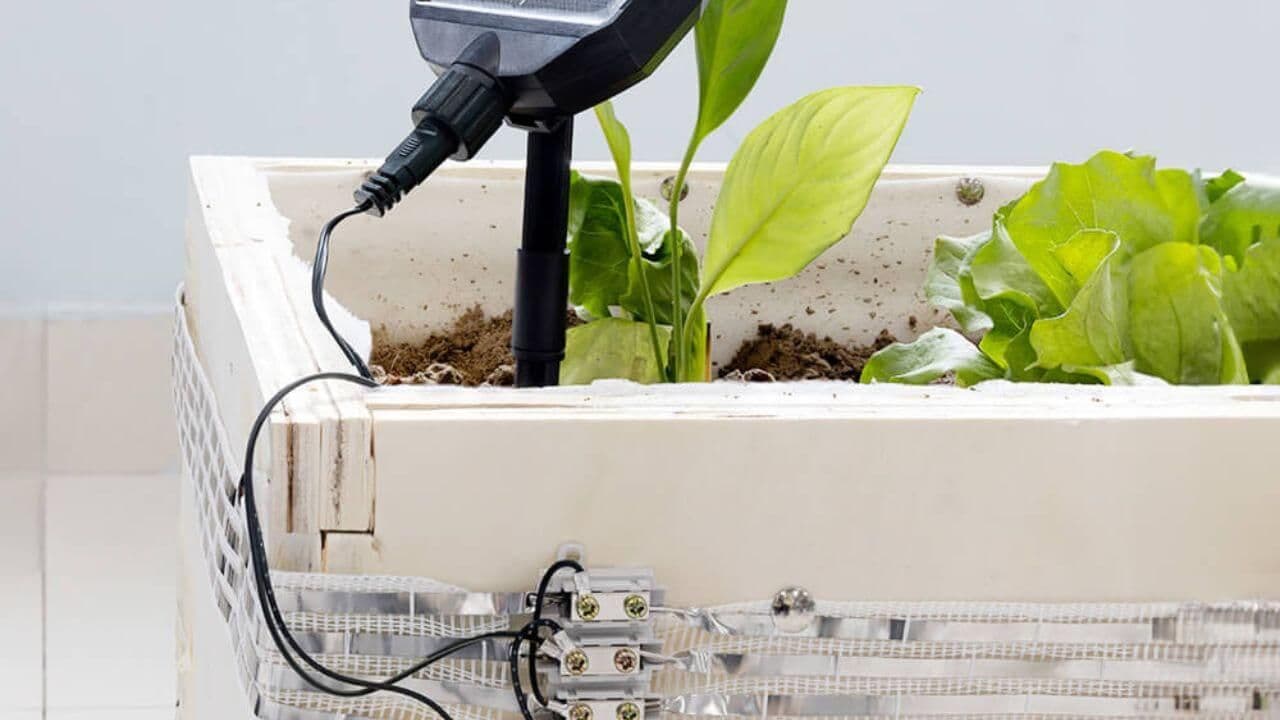 Electric Snail Fence: A Safe and Efficient Solution for Snail Control and Farming