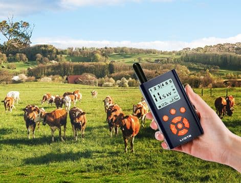 Guardians of the Flock: Why Intelligent Farm is Essential