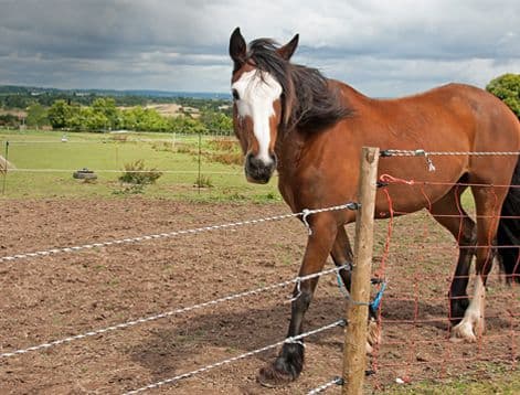 How to Choose the Right Electric Fence Energizer for Your Farm