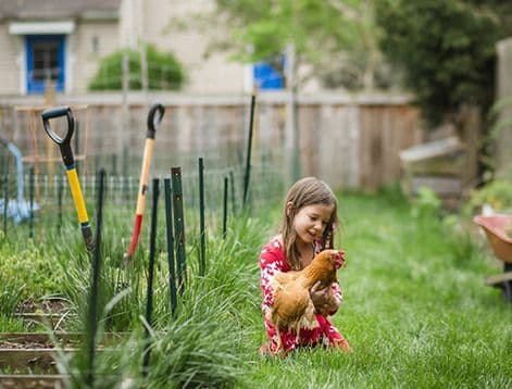 Electric fence Protect the garden in the yard