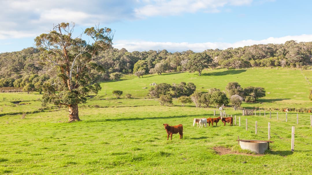 How to Install an Electric Fence Energizer: A Step-by-Step Guide