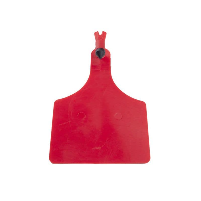 Ear Tag102 6 800x800 f225dcafe3