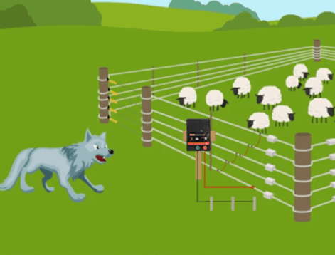 How to Connect an Electric Fence Charger to Netting – Step-by-Step Guide