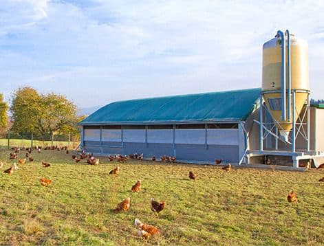 Electric Fence Solution For Small-scale Farms