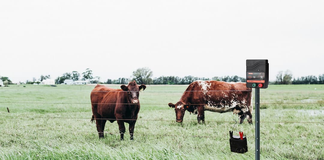What Is an Electric Fence Energizer and How Does It Work?