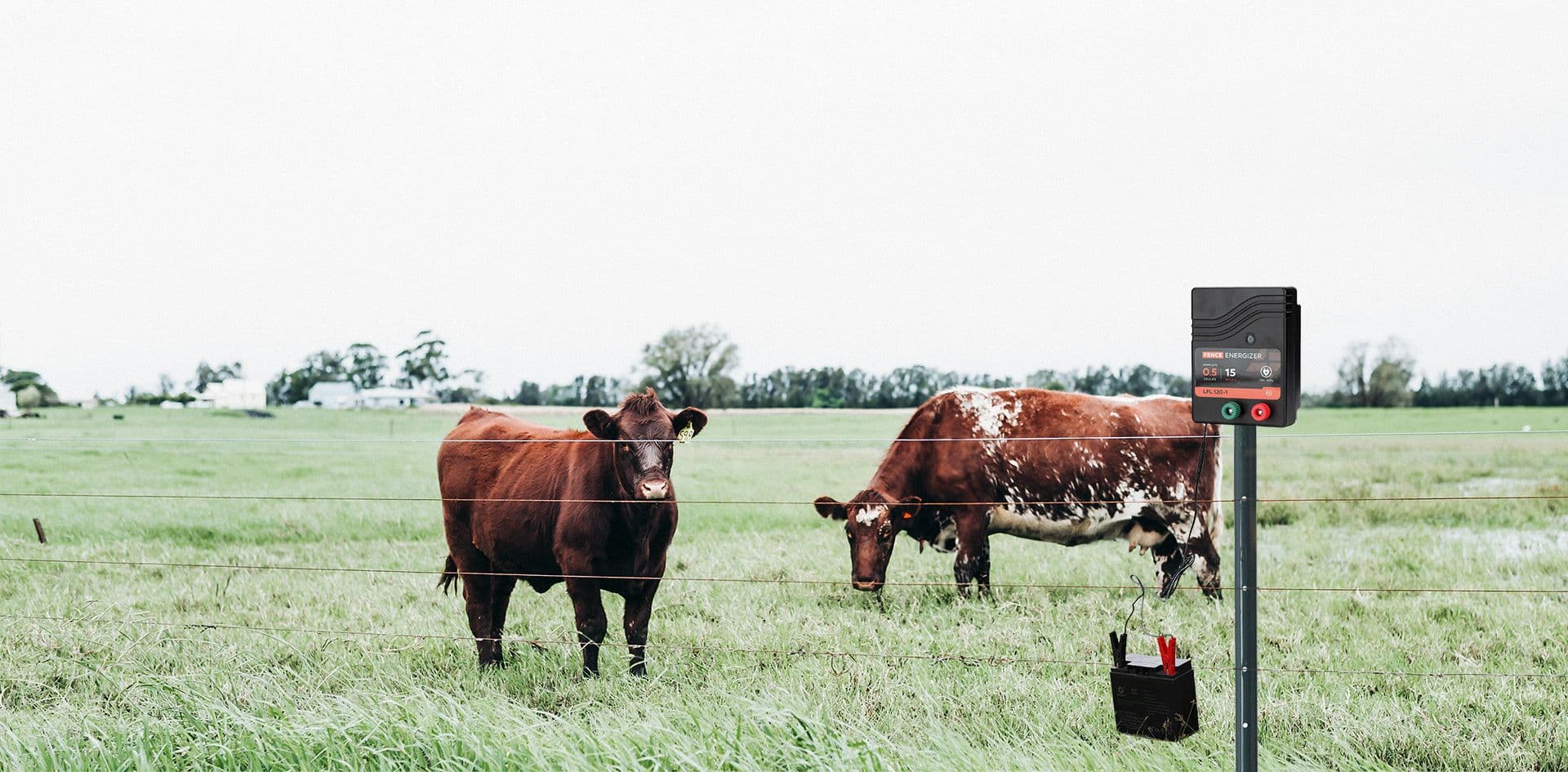 What Is an Electric Fence Energizer and How Does It Work?