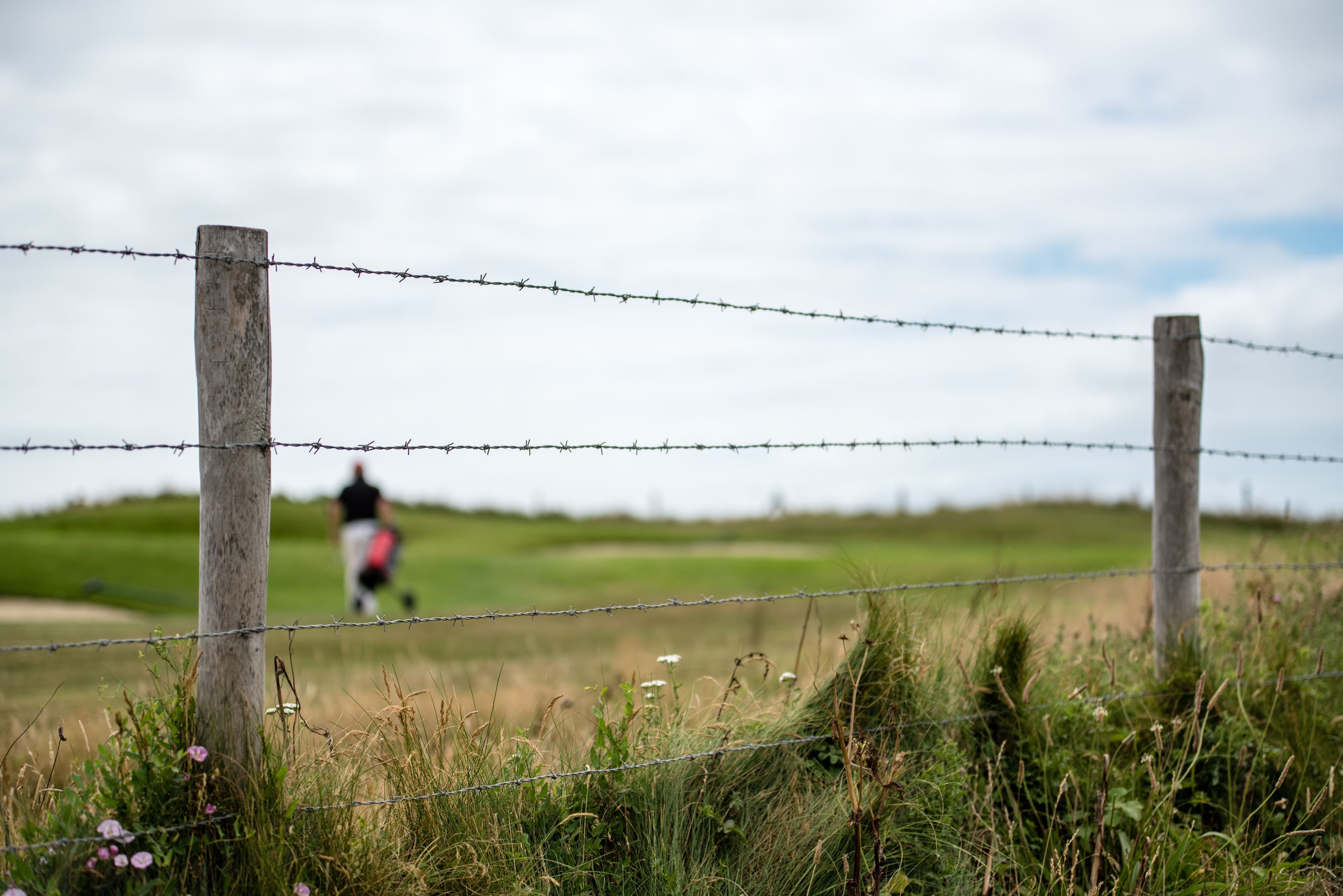 Fiberglass Fence Posts: How to Choose the Right Posts for Your Electric Fence